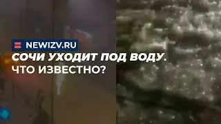 Сочи уходит под воду. Что известно?