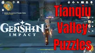 Genshin Impact Tianqiu Valley (Puzzles)