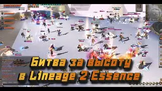 Орки с эльфами и людьми VS Темные эльфы и камаели Максима Зари в Lineage 2 Essence