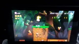 New Super Mario Bros. U Deluxe - World 5-2: Bridge Over Poisoned Waters (Secret Exit)