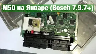 Бмв M50 на Январе (Bosch 7.9.7+)