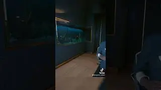 Cyberpunk 2077 but very low chaos 