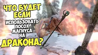 Что Будет Если Посох Магнуса Использовать На Драконе? Skyrim