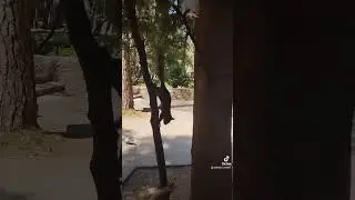 23 июня 2023 г.