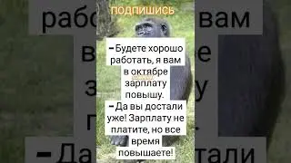 Анекдот про деньги