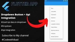 Flutter Dropdown  Widget || Api Data in Dropdown #restapis #dropdown #flutter