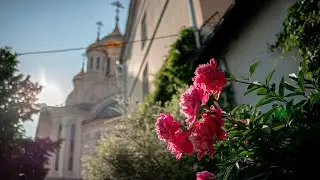 БАБУШКИНЫ НАСТАВЛЕНИЯ. Протоиерей Олег Стеняев