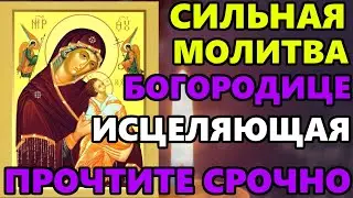 СИЛЬНАЯ МОЛИТВА БОГОРОДИЦЕ СРОЧНО ПОВТОРИ! Молитва Божией Матери перед иконой Страстная