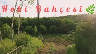 Domates🍅Biber🫑Patlıcan🍆Üç Arkadaş Hobi Bahçesi Yaptık.