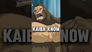 Did Seto Kaiba know? #yugioh #yugiohgx  #yugiohcommunity
