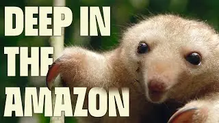 A World of Wonders: Uncovered | FULL DOCUMENTARY | Uncharted Amazon | @UltimateNatureDocs