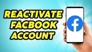 How to Reactivate Facebook Account (Easy Guide)