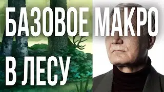МАКРО ИГРА В ЛЕСУ ДЛЯ САМЫХ МАЛЕНЬКИХ | ЛИГА ЛЕГЕНД ГАЙД ПО МАКРО ИГРЕ В ЛЕСУ | 100% ПРАВДЫ EBAT