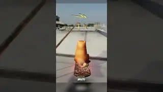 WHY Does 