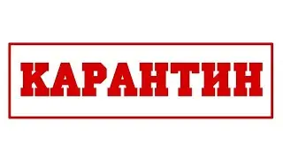 Семья на карантине/ Москва/ Помощи в бытовых вопросах- нет!
