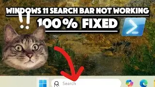 Windows 11 Search Bar Not Working: 100% FIXED (PowerShell Included)