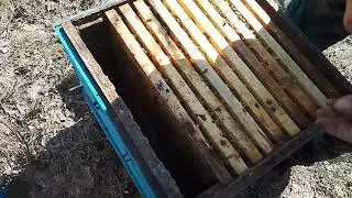 Работы на пасеке весна . 11 апреля.