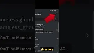 Delete Inactive Discord Members On Mobile 