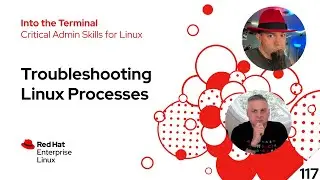 Linux Service Troubleshooting | Into the Terminal 117
