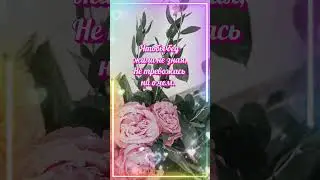 🎁 Короткие Поздравления С Днем Рождения Женщине ♫ Музыкальная Открытка С Днем Рождения 