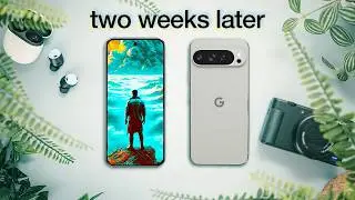 Pixel 9 Pro XL 2 Weeks Later: Truth After Hype