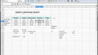 9 -  Libre Office Calc, Open Office Calc, Excel Tutorial --  2 rows of text in 1 cell -- Formatting