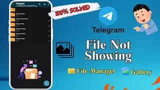 Telegram files not showing in FILE MANAGER/GALLERY | Telegram Downloaded Media Files Not Showing