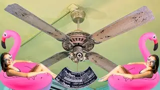 Vintage Khaitan LUMAIR 4 Blades x 1400mm Ceiling Fan vs Pink Swan Shaped Inflatable Floating Ring 🦢💖