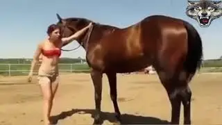 شاهد ماذا فعل الحصان للبنت