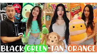 SHOPPING IN YOUR COLOR! NO BUDGET!!🖤💚🤎🧡