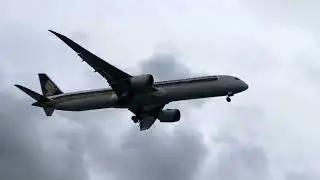 Flight landing in singapore