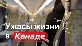 Ужасы жизни в Канаде. Бокс. Последний прибывший за 3к в Канаду. 