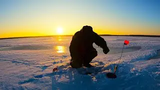ЯУЗА -20 ПАЛАТКА ПЕЧКА НАСТОЯЩАЯ ЗИМА!
