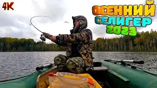 4К Селигер Рыбалка и Грибалка Осенью 2023