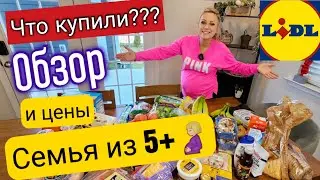 Продукты из Lidl на 195$/Что мы купили?/Цены на продукты в США/Большая семья в Америке/Лидл/Влог