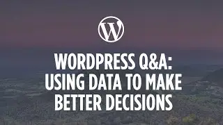 Using Data to Make Better Quality Decisions for your WordPress Website