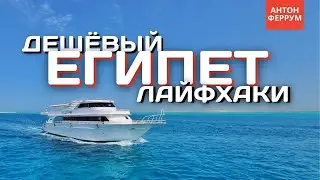 Египет 2021. Когда лететь? Как разводят Египтяне? Какие товары дешевле? Или может в Турцию?