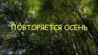 Повторяется осень.Любовь Великанова.