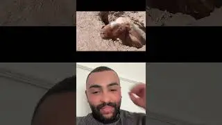 لن تصدق ماذا وجدت هذا الشاب داخل الحفرة / مش ممكن
