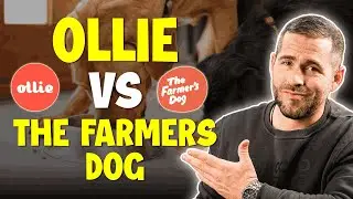 Ollie Vs The Farmers Dog Review:  Best Pet Dog Food in 2024?