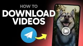 How to Download Videos from Telegram (Step by Step) 2025