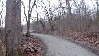 Trail Run #7 - Cloudy Overcast Nature Run - Virtual Run