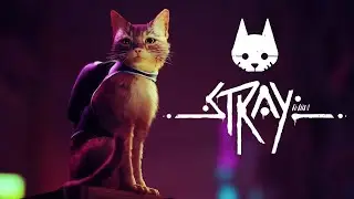 STRAY PS5 No Commentary Gameplay Walkthrough + Collectables Part One Guide