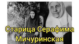 Жизнь и подвиг Мичуринской Старицы Серафимы