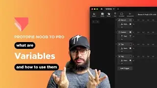 Protopie: Understanding and Using Variables