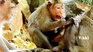 GOD HELP, Cruel monkey April want to kill baby Vikki in front of Violet