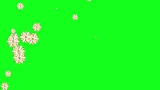 Green Screen Overlay Effects_Kinemaster, After Effects, Premiere, Blender, Edius,Final Cut,Filmora