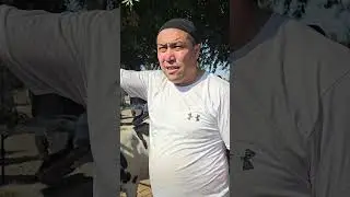 Mol Bozor 