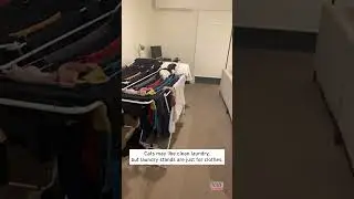 Cat Topples Clean Laundry Drying on Rack 