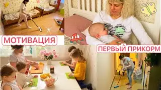 👩‍⚕️СЕСТРА МУЖА РАССКАЗЫВАЕТ О ПЕРВОМ ПРИКОРМЕ🐣 УБОРКА🧺